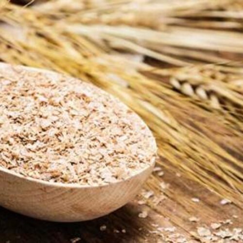 ماهي قشور السيليوم