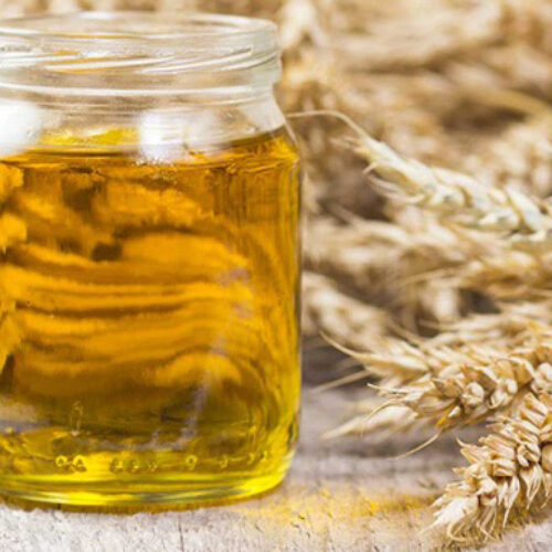 جنين القمح للبشرة